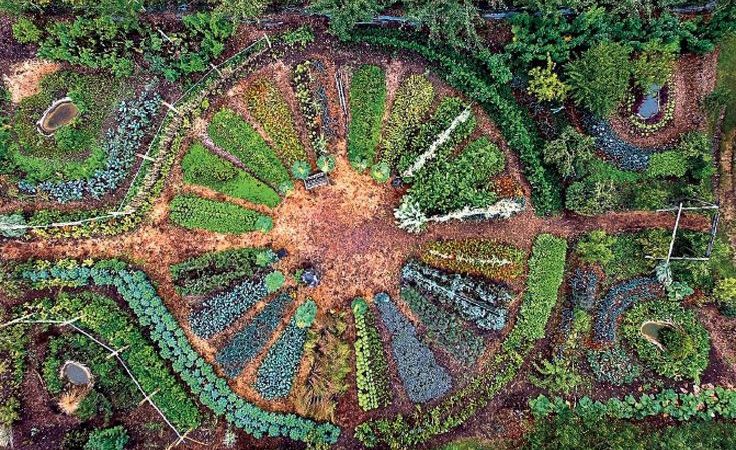 Vivre avec la Terre: Notre avis